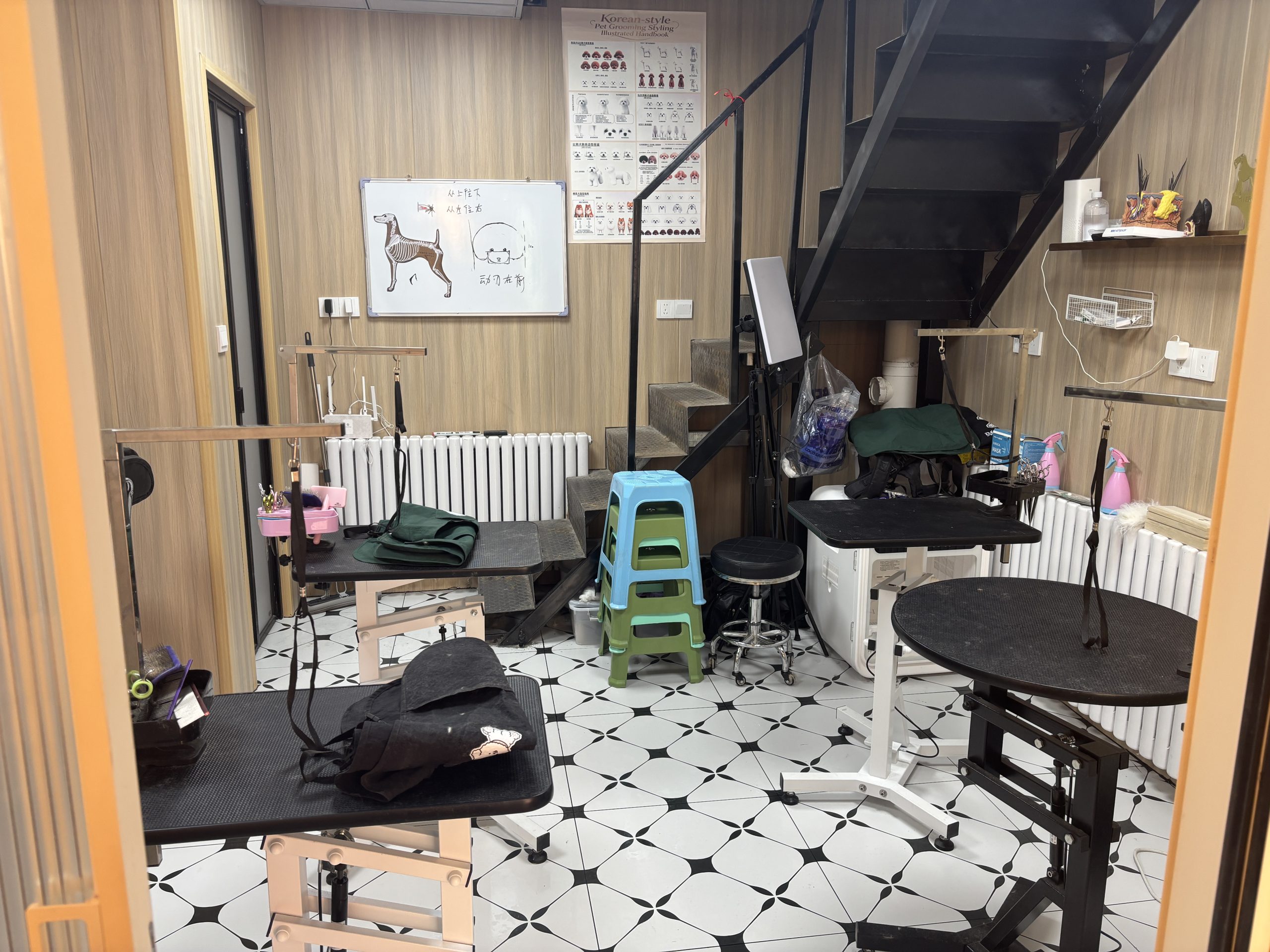女性讲师在宠物美容实训教室为犬只修剪毛发