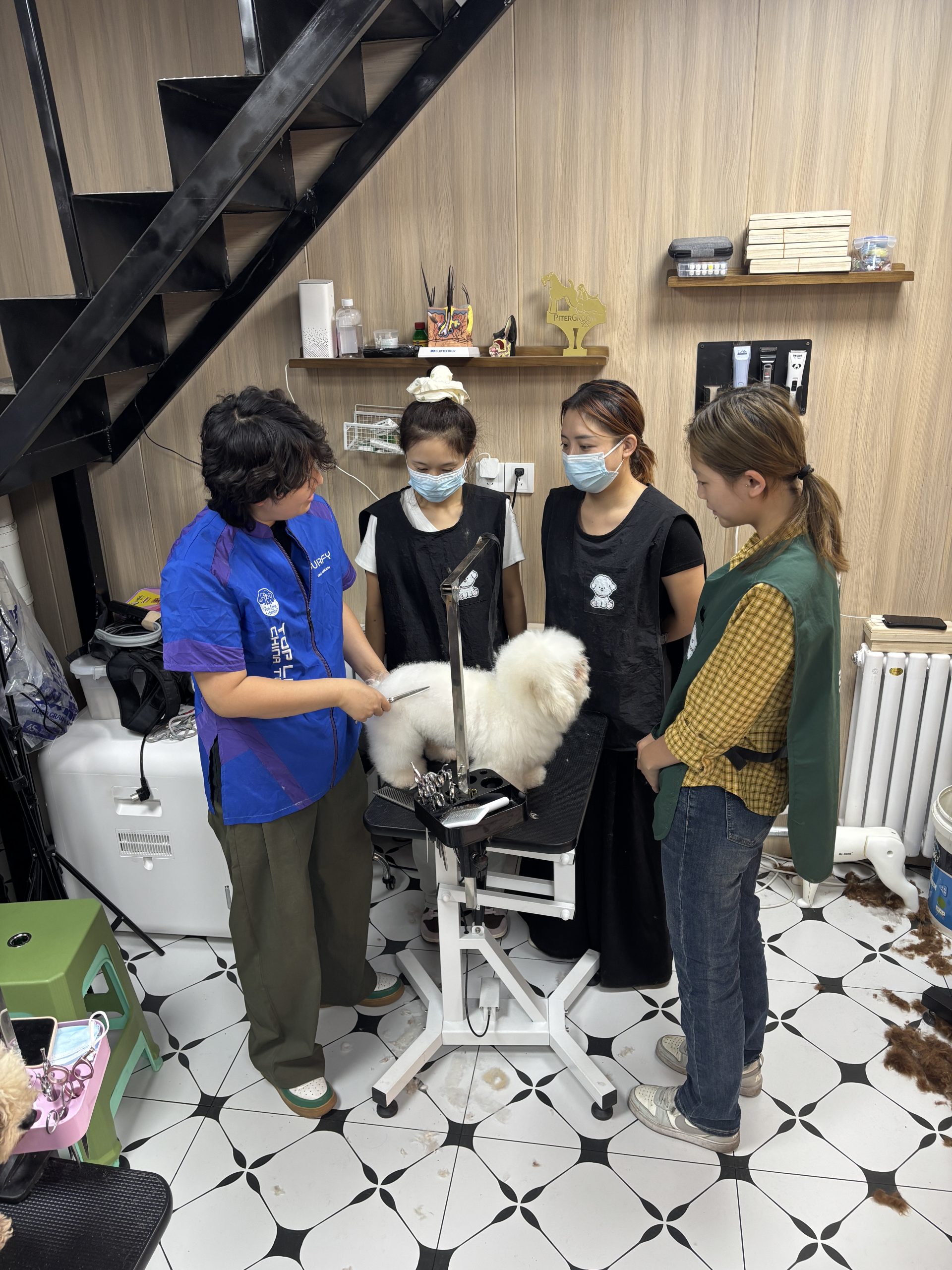 宠物美容教学实训照片