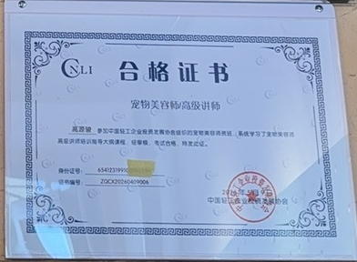 高源骏老师中轻宠协宠物美容师高级讲师合格证书