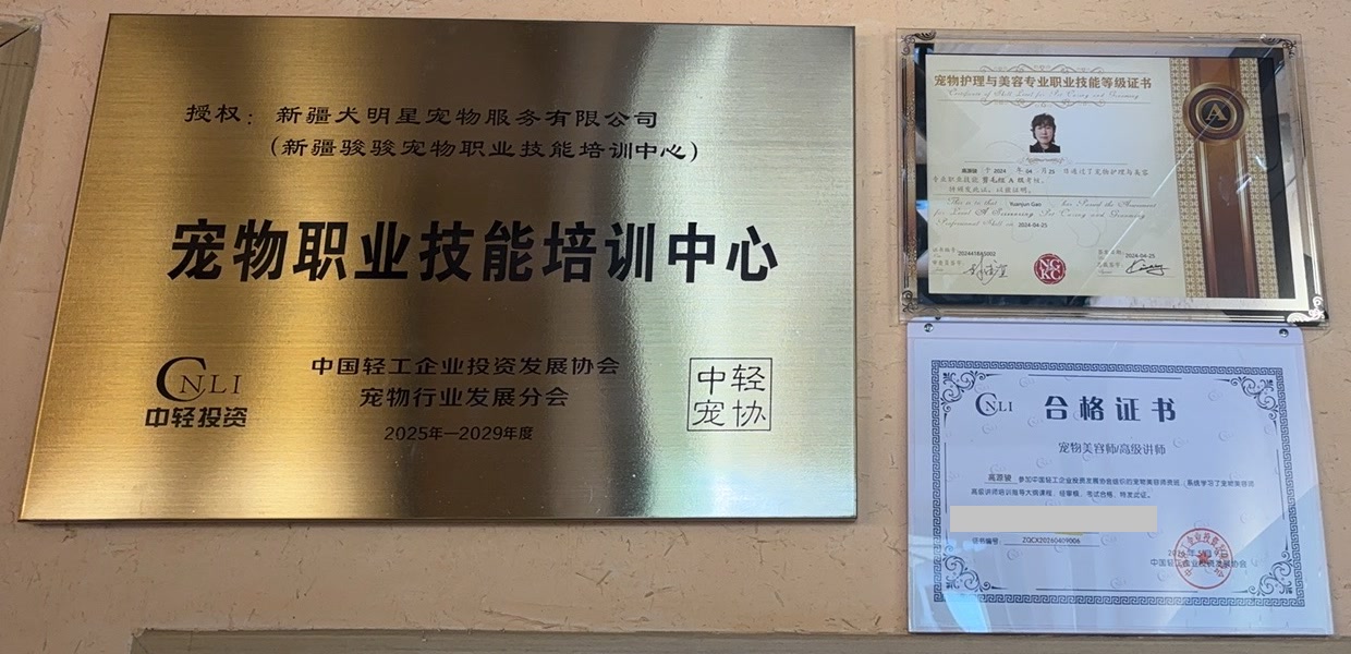 店内牌匾“宠物职业技能培训中心”，旁边挂着名将剪毛组A级证书和中轻宠协合格证书